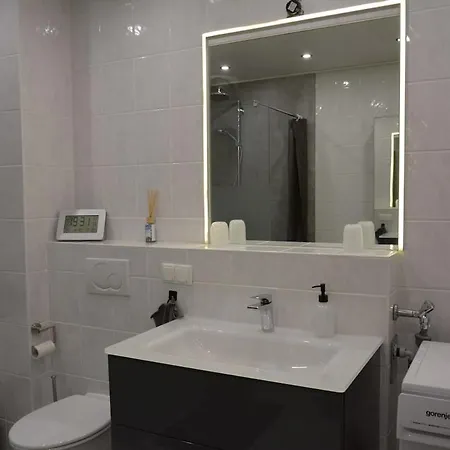 Appartement Exklusive Mit Garten Niederdorla